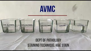 Hematoxylin amp Eosin Staining Procedure Principle with Video Lecture [upl. by Nollek]