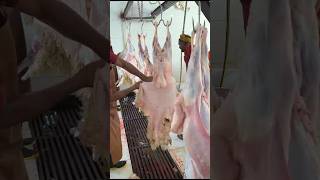 Sheep and goat skins processing sorts viralvideo [upl. by Nuj]