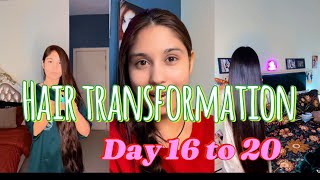 Day 16 to 20  hair transformation  Aymen zahra [upl. by Tamara]