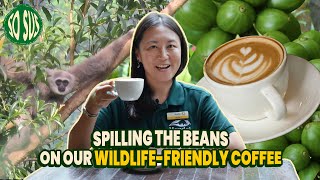 So Sus Wildlifefriendly Coffee [upl. by Regnij]