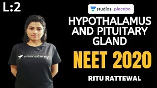 L2 Hypothalamus and Pituitary Gland  Endocrine System  Premedical  NEETAIIMS  NEET 2020 [upl. by Phox]