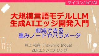 NoA115 大規模言語モデルLLMによる生成AIプログラミング［大規模言語モデルLLM入門無駄の多いニューラルネット，削減できる重みノードやパラメータ，蒸留，枝刈り，量子化］ [upl. by Aissak]