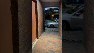 Guess Who Showed Up in the Alley funny shortvideos fypシ゚viral short shorts shortvideo [upl. by Krug]