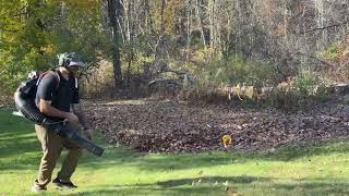 Leaf Blower Time Lapse 💪🏼 [upl. by Alleusnoc]