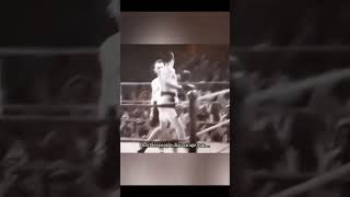 Танцующий роза video boxing new [upl. by Enyar423]