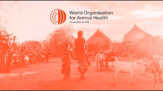 World Organisation for Animal Health WOAH founded as OIE  Its Everyones Health [upl. by Hernando]