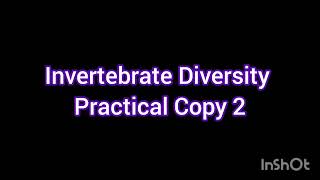 Invertebrate Diversity Copy 2Animal DiversityZoology Practical fileBS ZoologyBS Biology [upl. by Anwahsal]