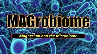 MAGrobiome Magnesium and the Microbiome [upl. by Nojram]