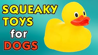 Squeaky Toys Sounds for Dogs  Sounds that Dogs Love [upl. by Ygiaf]