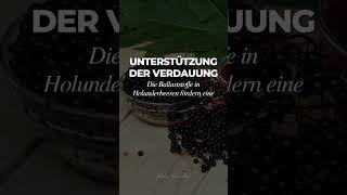 5 Gesundheitliche Vorteile von Holunderbeeren 🍇 [upl. by Sarina]