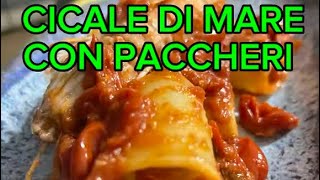 PACCHERI con cicale di mare [upl. by Duane128]