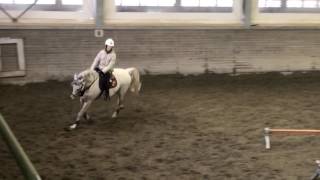 Cassino  Filippo Bologni training on 1m50 at home [upl. by Adilen103]