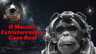 O Macacos Extraterrestre  Caso Real [upl. by Yentnuoc120]