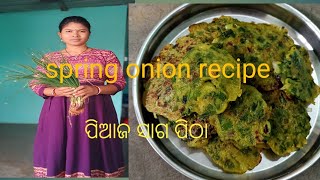 ପିଆଜ ସାଗ ପିଠା ll spring onion recipe minivlogeodiarecipe odiavlog rukmani2dumurmu [upl. by Snej]