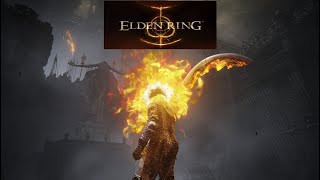 Frenzy Zealot vs Pig Rider Elden ring convergence mod [upl. by Anelak]