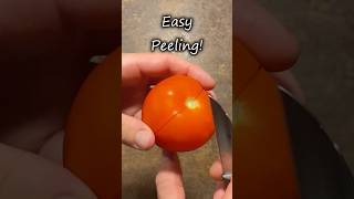 Easy Tomato Peeling shorts hack tips [upl. by Epps126]