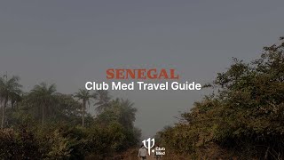 Dive into a travel in Senegal  Club Med Travel Guide [upl. by Aridan]