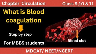 What is Blood clotting A to Z details  Blood coagulation cascade [upl. by Franek]