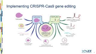 Reducing offtarget events in CRISPR genome editing applications with a highfidelity Cas9 nuclease [upl. by Meesak796]