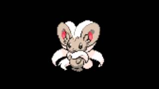 Pokemon Cries  573 Cinccino [upl. by Thoma]