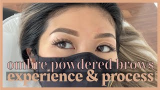 Ombre Powder Brows Healing amp Process  Nadia Ngo [upl. by Deryl189]