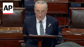 Chuck Schumer calls for new elections in Israel saying Netanyahu has lost his way [upl. by Henrieta]