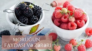 Moruğun ve malinanın mualicəvi inanılmaz faydaları [upl. by Yahsat]