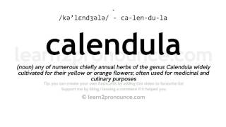 Pronunciation of Calendula  Definition of Calendula [upl. by Keyes]