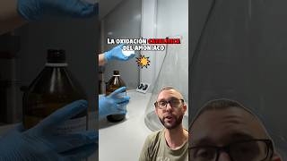 ✨ ¡La REACCIÓN de las LUCIÉRNAGAS QUÍMICAS 🧪 short quimica [upl. by Aldis]