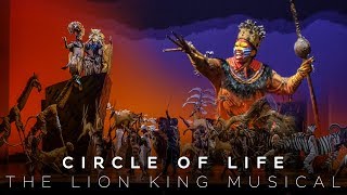 Circle of Life  The Lion King Musical [upl. by Doolittle]