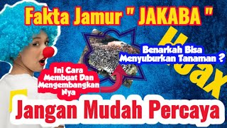 PERTANIAN  JAKABA  Manfaat Jamur Jakaba Bagi Tanaman [upl. by Hgielar]