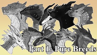 Speedpaint  All Wings Of Fire Dragons Part 1 Pure Breeds [upl. by Evalyn]