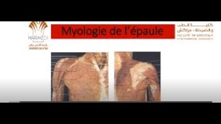 ANATOMIE FMPM MYOLOGIE DE L’ÉPAULE [upl. by Lin378]