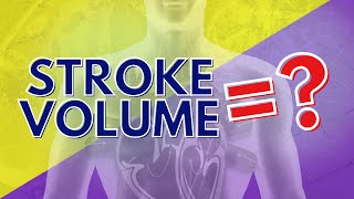 What Stroke Volume is and How to Calculate it [upl. by Annecorinne]