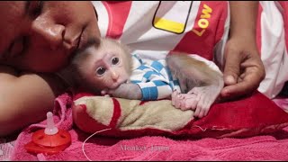 Oh God Cute Baby Newborn Monkey Jason Crying Inconsolable After Wearing New Clothes [upl. by Emmerie842]