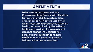 Getting the facts on confusing Florida Amendment 4 ads [upl. by Francisca]