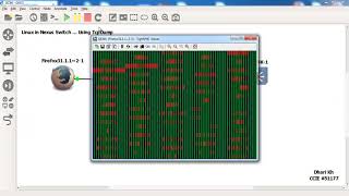 Tcpdump in Nexus Switch 9K [upl. by Akerehs454]