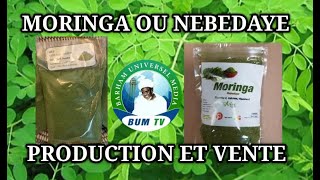 GRAND REPORTAGE SUR LE quotNEBEDAYEquot OU MORINGA À DECROUVRIR SA PRODUCTION ET SES BIENFAITS VIDEO [upl. by Read]