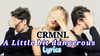 CRMNL  A Little bit dangerous  Lyrics  Bee Symphony [upl. by Ycat]