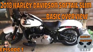 Harley Heather 2018 Harley Davidson Softail Slim Basic Overview [upl. by Anaibaf716]