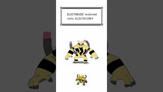 Electabuzz Evolves Into Elevtavire  Pokemon Evolution Animation [upl. by Ramel]