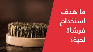 Bou Shanab  Reasons You Need to Use a Boar Bristle Brush  ما هدف استخدام فرشاة لحية؟ [upl. by Anuhsal133]