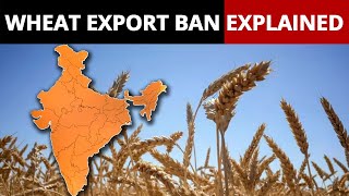 India Bans Wheat Export What It Means For Global Markets [upl. by Lak523]