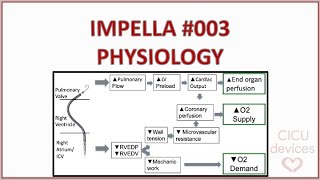 Impella device tutorial 003 Physics and physiology impella basics [upl. by Ezra]