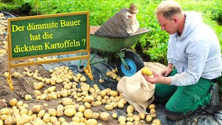 Garten im Juli  Frühkartoffel Solist [upl. by Inaliel935]