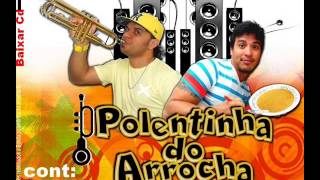 Poletinha do Arrocha Plaque de 100 [upl. by Gentille667]