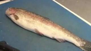 How To Fillet A Trout [upl. by Nywroc]