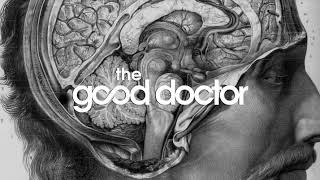 The good doctor theme song original with download link [upl. by Fidellia324]