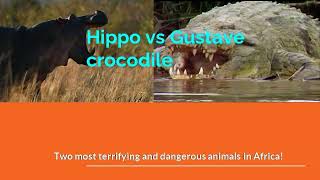 Hippo vs Gustave crocodile [upl. by Ys976]