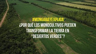 MongabayExplica ¿Por qué los monocultivos pueden transformar la tierra en “desiertos verdes” [upl. by Granthem]